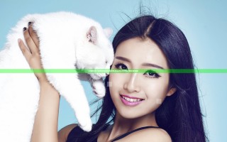 只狼影逝二度胖和尚给红白风车怎么样 红白风车任务区别攻略