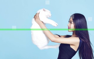 91直播在线下载