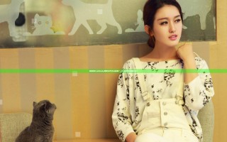 凯瑟琳Full Body理想之声怎么解锁？dlc安装方法是什么？