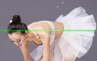 《OVERFLOW》原版完整解析与使用心得分享，通过实际案例教你提升体验