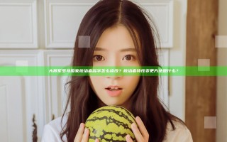大将军罗马国家统治者名字怎么修改？统治者特性变更方法是什么？