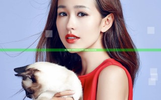 死亡细胞巨人的崛起dlc怎么样 巨人的崛起dlc玩法攻略