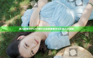 深入解析985 211是什么意思重要性与影响力全剖析