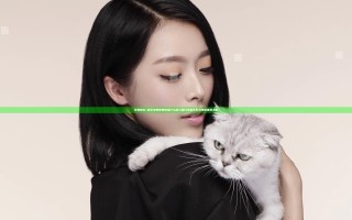夫妻联欢~回不去的夜晚接档什么 深入探讨夫妻关系与情感重建之道