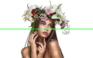 lol忍者小队功勋怎么获得 忍者小队战峡谷的活动在哪里