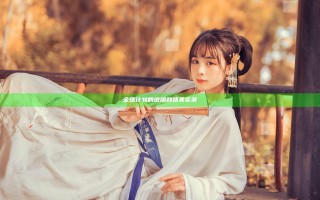 全球计划的说明和精美实录
