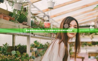 老太婆的另类BBW是什么意思解读与文化背景分析详解