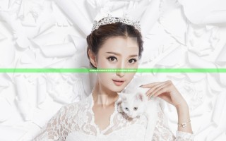 全面解析挣扎拼音的含义及其在学习中的重要性和应用技巧