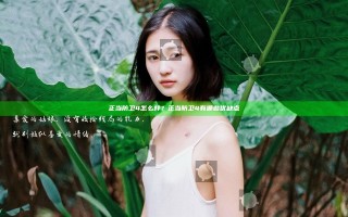 正当防卫4怎么样？正当防卫4有哪些优缺点