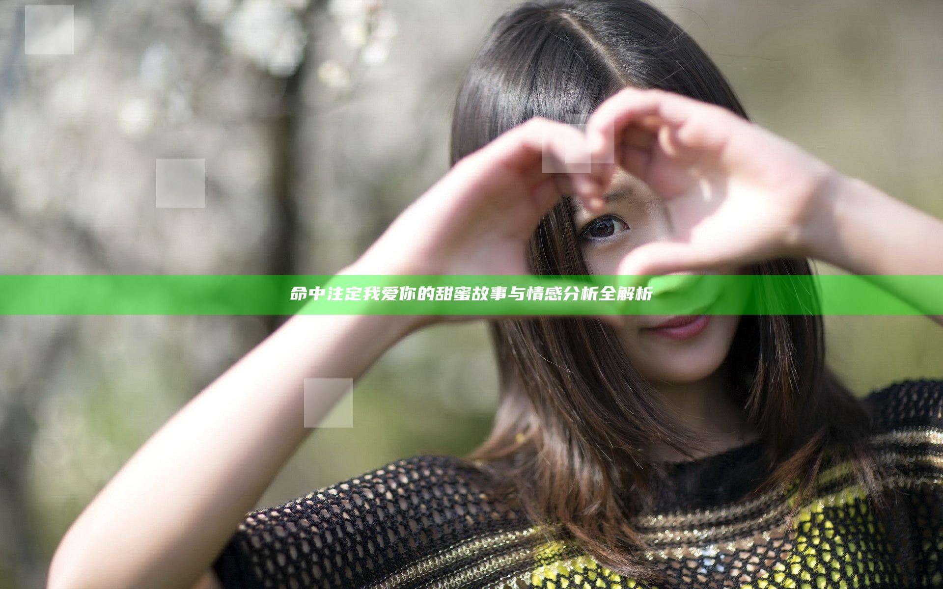 命中注定我爱你的甜蜜故事与情感分析全解析