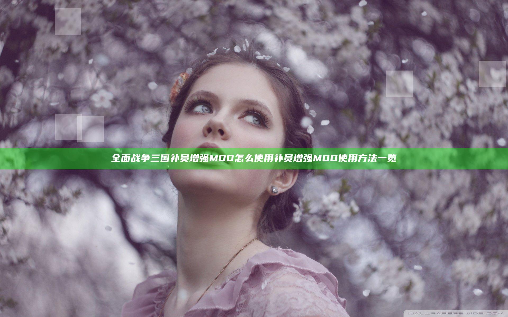 全面战争三国补员增强MOD怎么使用 补员增强MOD使用方法一览