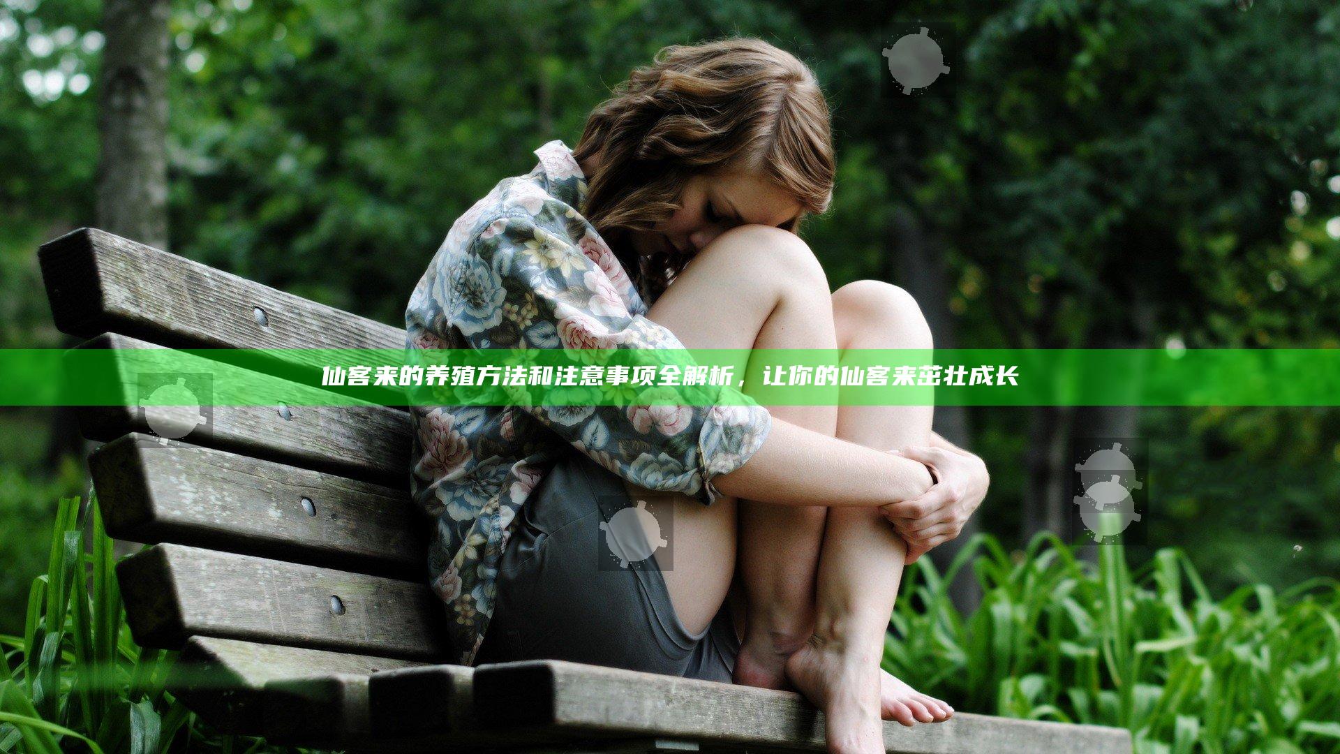 仙客来的养殖方法和注意事项全解析，让你的仙客来茁壮成长