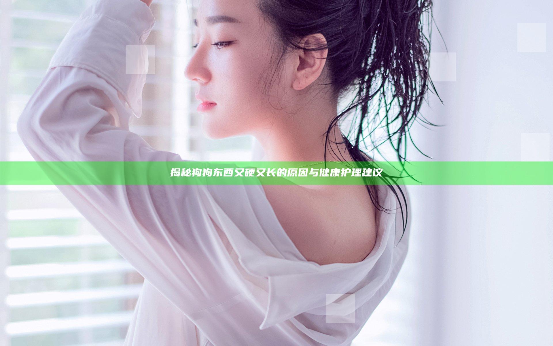 揭秘狗狗东西又硬又长的原因与健康护理建议